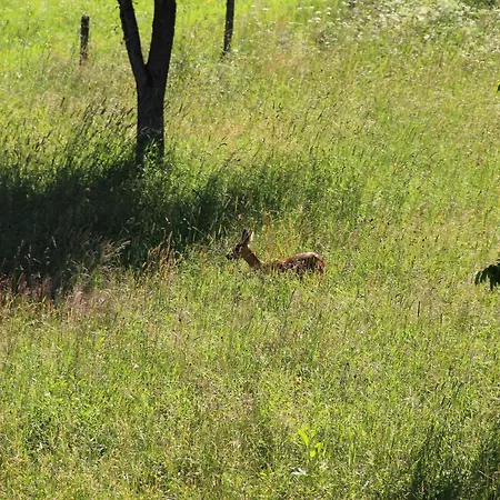 Apartment Haus Am Stryckpark *