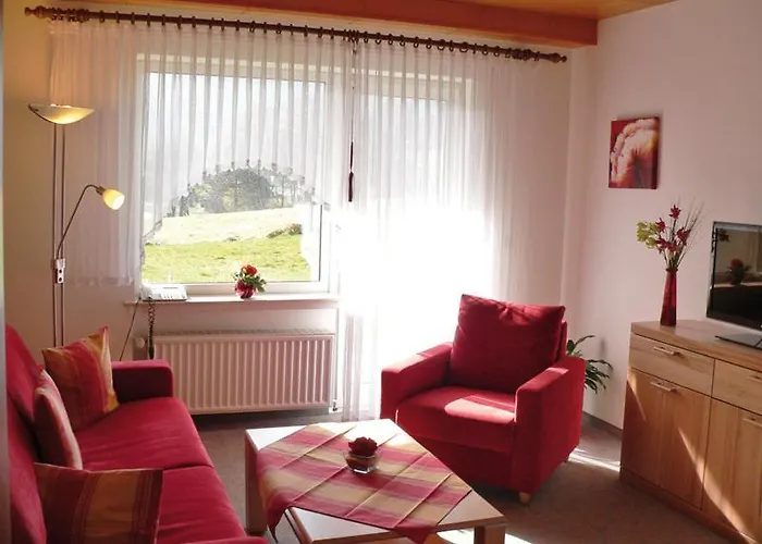 Apartmán Haus Am Stryckpark Willingen (Upland)