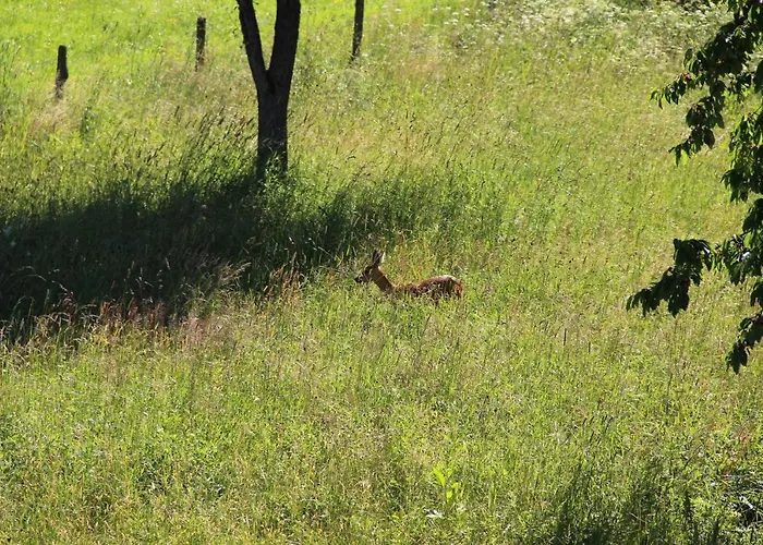 Appartement Haus Am Stryckpark *
